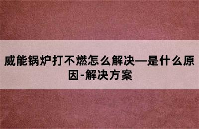 威能锅炉打不燃怎么解决—是什么原因-解决方案