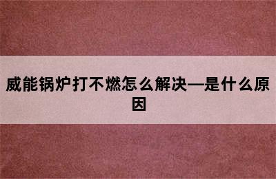 威能锅炉打不燃怎么解决—是什么原因