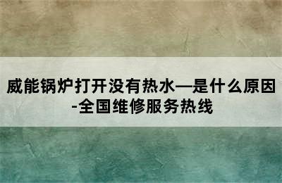 威能锅炉打开没有热水—是什么原因-全国维修服务热线