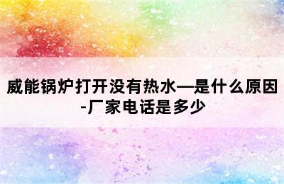 威能锅炉打开没有热水—是什么原因-厂家电话是多少