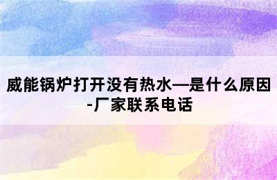 威能锅炉打开没有热水—是什么原因-厂家联系电话