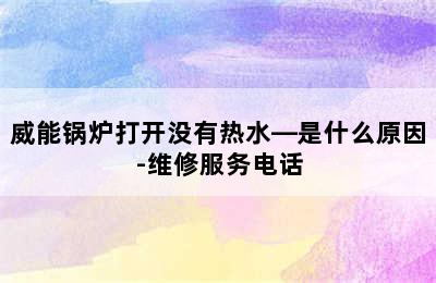 威能锅炉打开没有热水—是什么原因-维修服务电话