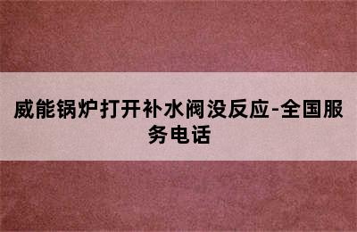 威能锅炉打开补水阀没反应-全国服务电话