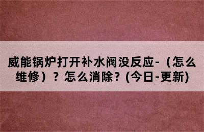 威能锅炉打开补水阀没反应-（怎么维修）？怎么消除？(今日-更新)