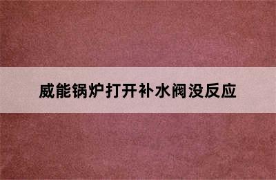 威能锅炉打开补水阀没反应