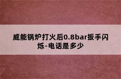 威能锅炉打火后0.8bar扳手闪烁-电话是多少