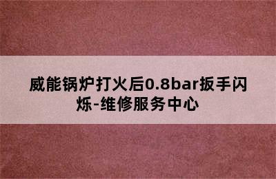 威能锅炉打火后0.8bar扳手闪烁-维修服务中心