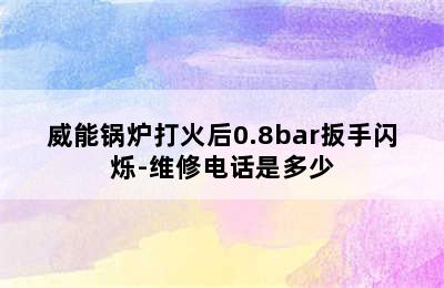 威能锅炉打火后0.8bar扳手闪烁-维修电话是多少