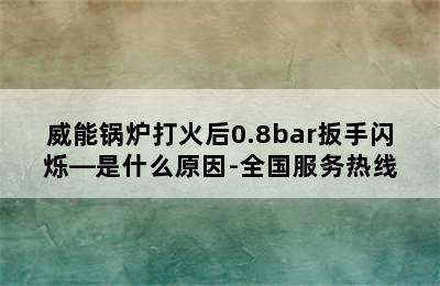 威能锅炉打火后0.8bar扳手闪烁—是什么原因-全国服务热线