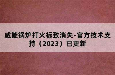 威能锅炉打火标致消失-官方技术支持（2023）已更新