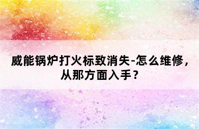 威能锅炉打火标致消失-怎么维修，从那方面入手？