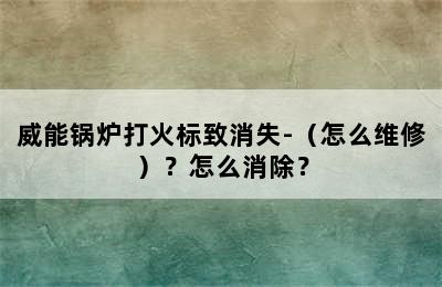 威能锅炉打火标致消失-（怎么维修）？怎么消除？