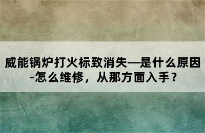 威能锅炉打火标致消失—是什么原因-怎么维修，从那方面入手？