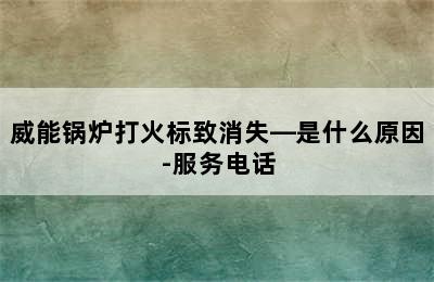 威能锅炉打火标致消失—是什么原因-服务电话