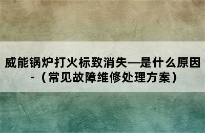 威能锅炉打火标致消失—是什么原因-（常见故障维修处理方案）