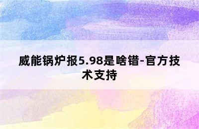 威能锅炉报5.98是啥错-官方技术支持