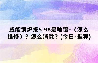 威能锅炉报5.98是啥错-（怎么维修）？怎么消除？(今日-推荐)