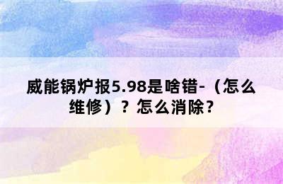 威能锅炉报5.98是啥错-（怎么维修）？怎么消除？