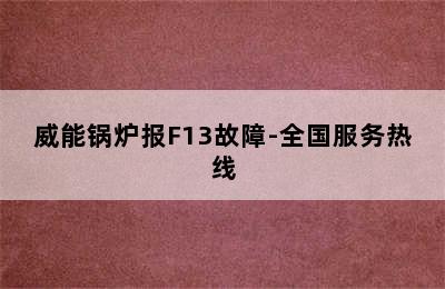 威能锅炉报F13故障-全国服务热线