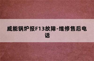 威能锅炉报F13故障-维修售后电话