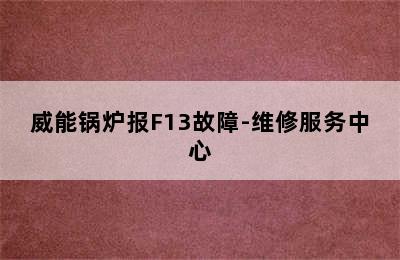 威能锅炉报F13故障-维修服务中心