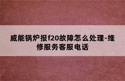 威能锅炉报f20故障怎么处理-维修服务客服电话