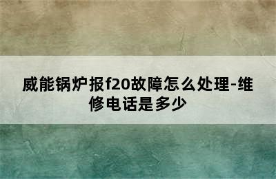 威能锅炉报f20故障怎么处理-维修电话是多少