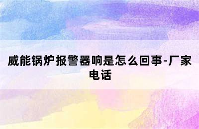 威能锅炉报警器响是怎么回事-厂家电话