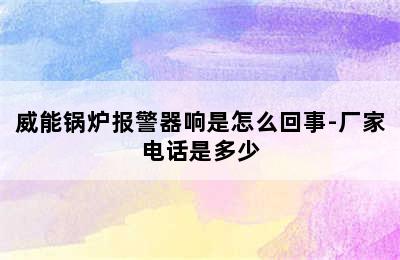 威能锅炉报警器响是怎么回事-厂家电话是多少