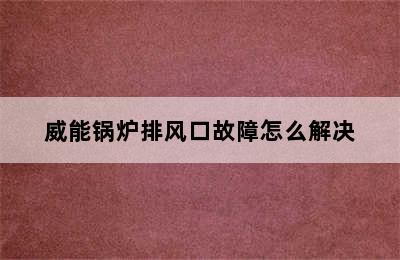 威能锅炉排风口故障怎么解决