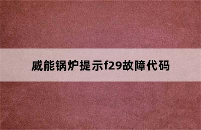 威能锅炉提示f29故障代码