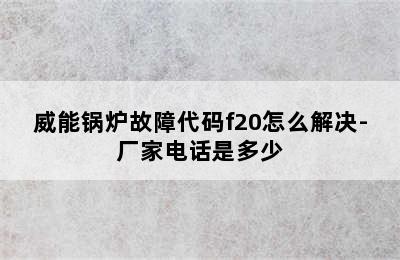 威能锅炉故障代码f20怎么解决-厂家电话是多少