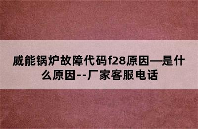 威能锅炉故障代码f28原因—是什么原因--厂家客服电话