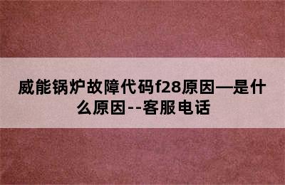 威能锅炉故障代码f28原因—是什么原因--客服电话