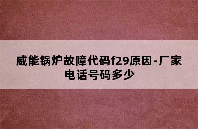 威能锅炉故障代码f29原因-厂家电话号码多少