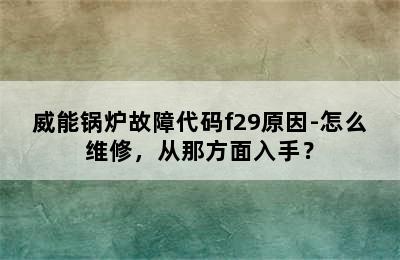 威能锅炉故障代码f29原因-怎么维修，从那方面入手？