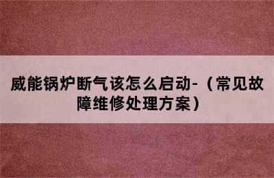 威能锅炉断气该怎么启动-（常见故障维修处理方案）