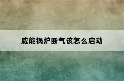 威能锅炉断气该怎么启动