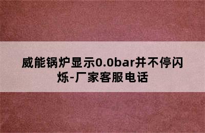 威能锅炉显示0.0bar并不停闪烁-厂家客服电话