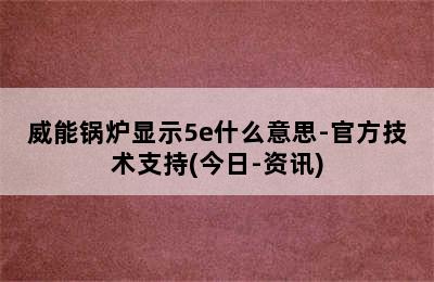 威能锅炉显示5e什么意思-官方技术支持(今日-资讯)