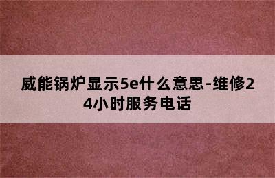 威能锅炉显示5e什么意思-维修24小时服务电话