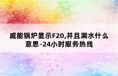 威能锅炉显示F20,并且漏水什么意思-24小时服务热线