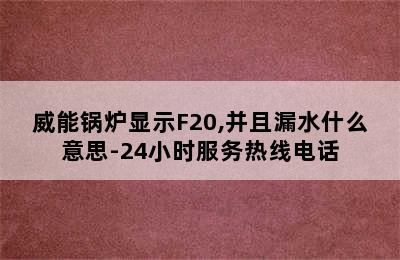 威能锅炉显示F20,并且漏水什么意思-24小时服务热线电话