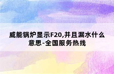 威能锅炉显示F20,并且漏水什么意思-全国服务热线