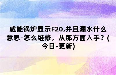 威能锅炉显示F20,并且漏水什么意思-怎么维修，从那方面入手？(今日-更新)