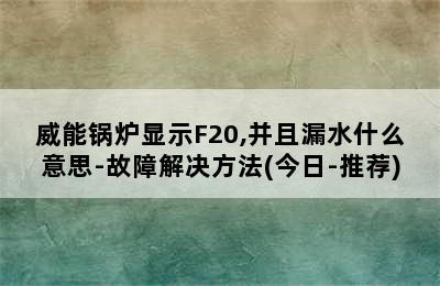 威能锅炉显示F20,并且漏水什么意思-故障解决方法(今日-推荐)