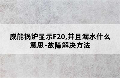 威能锅炉显示F20,并且漏水什么意思-故障解决方法