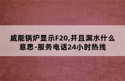 威能锅炉显示F20,并且漏水什么意思-服务电话24小时热线