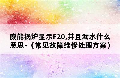 威能锅炉显示F20,并且漏水什么意思-（常见故障维修处理方案）