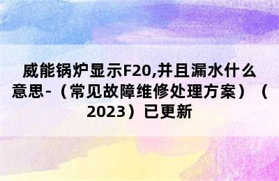 威能锅炉显示F20,并且漏水什么意思-（常见故障维修处理方案）（2023）已更新